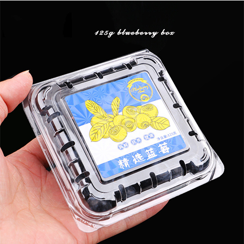 Disposable transparent blister clamshell container 125g plastic fruit packaging box with holes for blueberry cherry strawberry