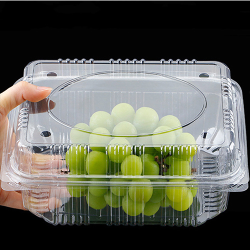 Wholesale Custom Clear PET Plastic Fruit Boxes Packaging Transparent Salad Clamshell Blister Container with Holes Disposable