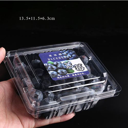 Mini 8