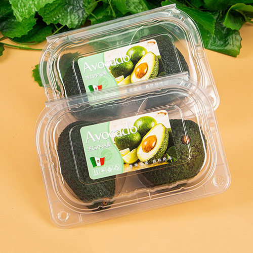 Manufacturer transparent PET disposable clamshell fruits container clear plastic fruit box for avocado