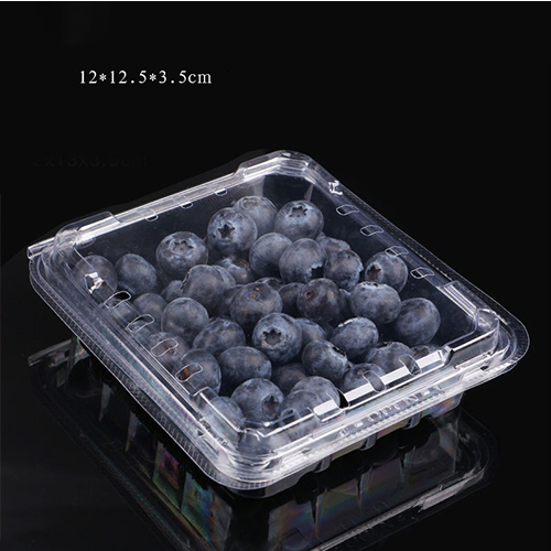 Plastic disposable portable PET transparent clear 125g blueberry container blue berry clamshell box