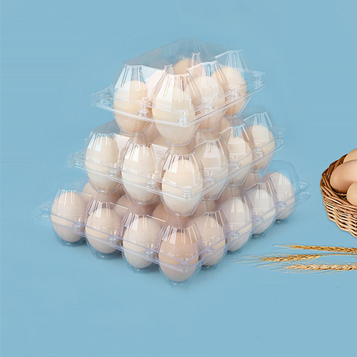 NEW Customized top quality transparent blister plastic container eggs blister packaging box