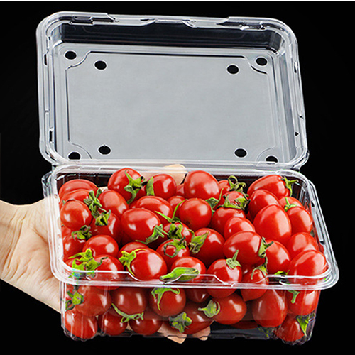 Wholesale Disposable Custom Clear PET Fruit Clamshell Plastic Boxes Transparent Blister Container with Holes