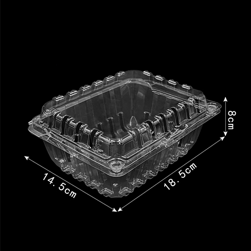 Wholesale Clear PET Plastic Fruit Boxes Transparent Salad Lemon Clamshell Blister Container with Holes 