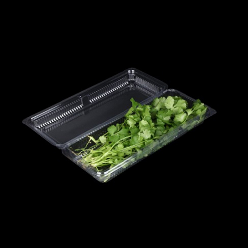 Custom clear transparent PET plastic clamshell box packaging for fresh herbs rosemary