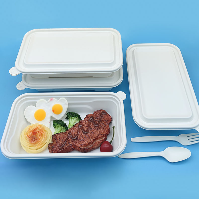 Rectangular disposable environmentally friendly food box, biodegradable plastic PLA lunch box